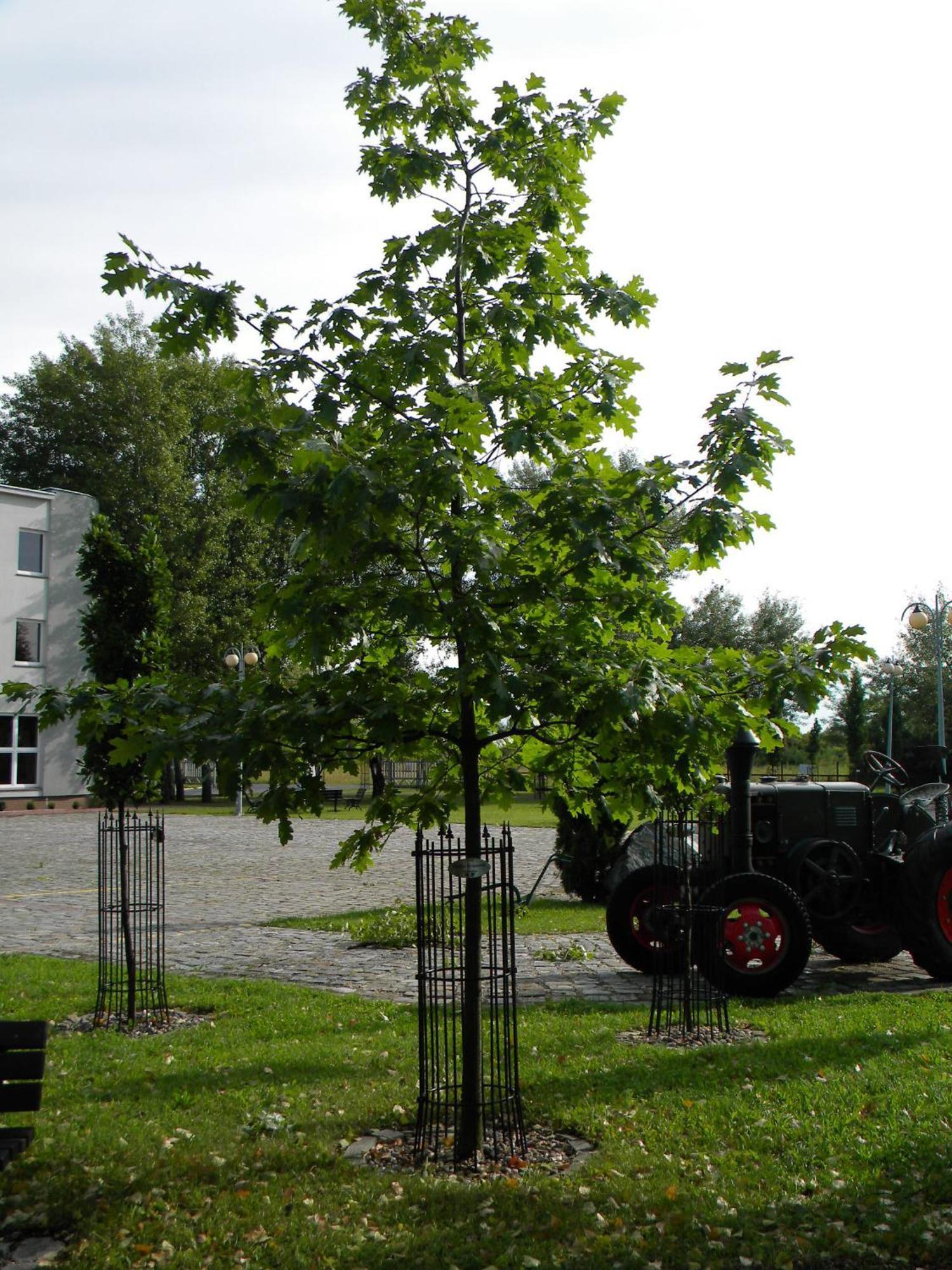 Hotel Kosmonauty Wroclaw-Airport, Wroclaw